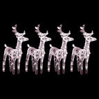 4 / Warmwit