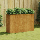 120 x 40 x 80 cm