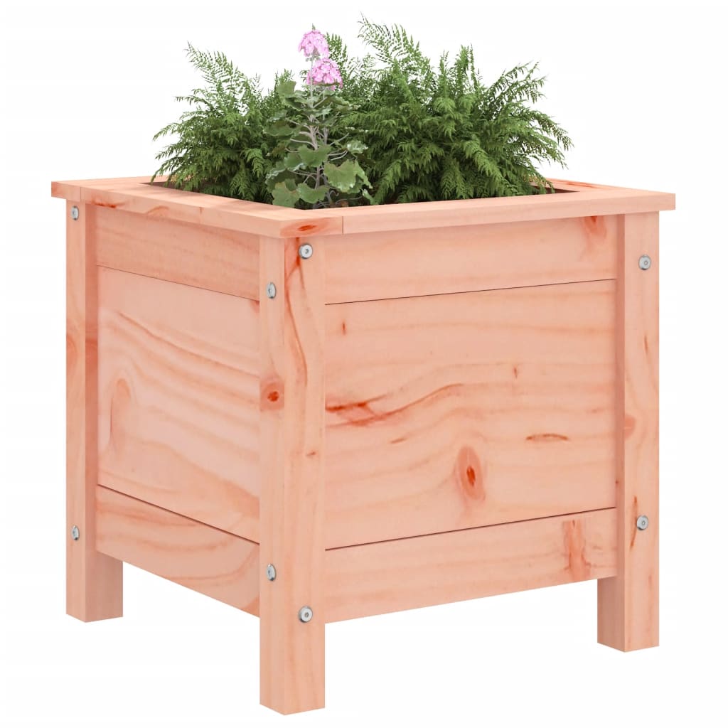 Plantenbak Massief Douglashout