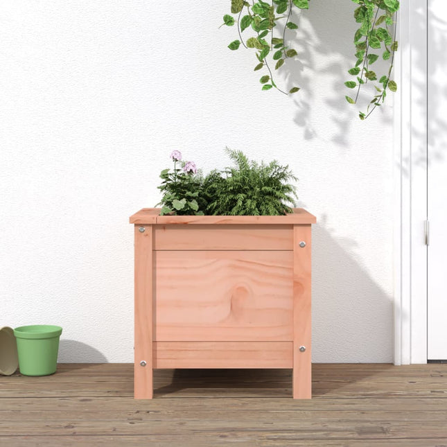 Plantenbak Massief Douglashout
