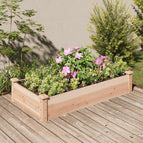 120 x 60 x 25 cm / Naturel