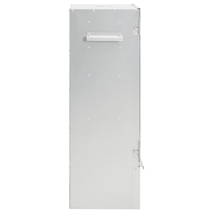 Bbq-Rookoven Met Koude Rookgenerator Gegalvaniseerd Staal
