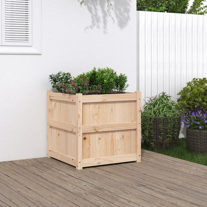 Plantenbak 60X60X60 Cm Massief Grenenhout