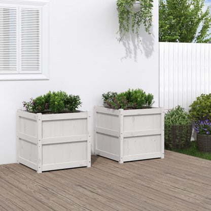 Plantenbak 60X60X60 Cm Massief Grenenhout