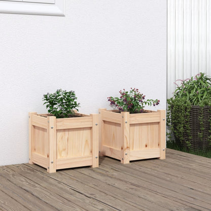 Plantenbak 31X31X31 Cm Massief Douglashout