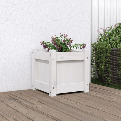 Plantenbak 31X31X31 Cm Massief Douglashout