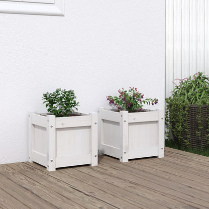 Plantenbak 31X31X31 Cm Massief Douglashout