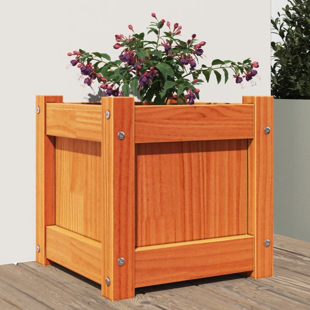 Plantenbak 31X31X31 Cm Massief Douglashout