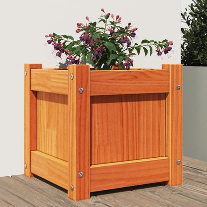 Plantenbak 31X31X31 Cm Massief Douglashout