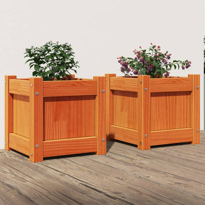 Plantenbak 31X31X31 Cm Massief Douglashout