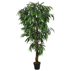 120 cm