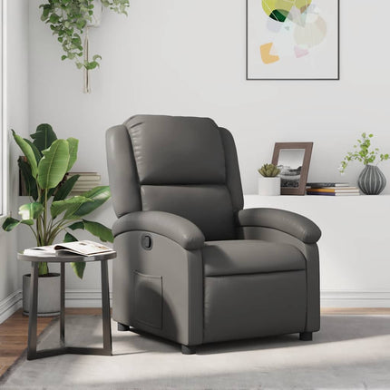 Relaxfauteuil Kunstleer