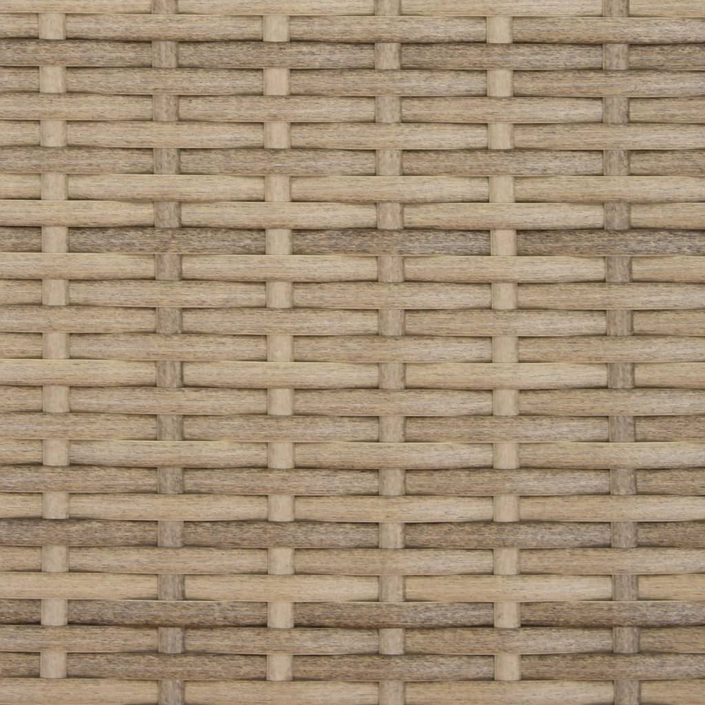 Tuinbank 2-Zits Met Voetenbanken Poly Rattan