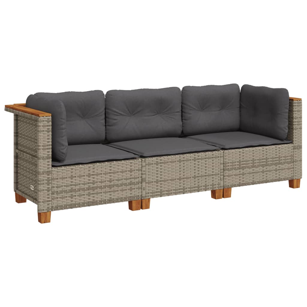 Tuinbank 3-Zits Met Kussens Poly Rattan