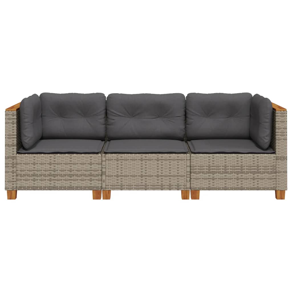 Tuinbank 3-Zits Met Kussens Poly Rattan