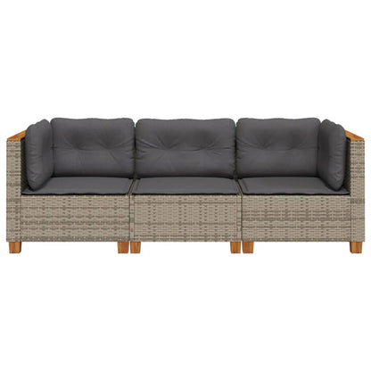 Tuinbank 3-Zits Met Kussens Poly Rattan