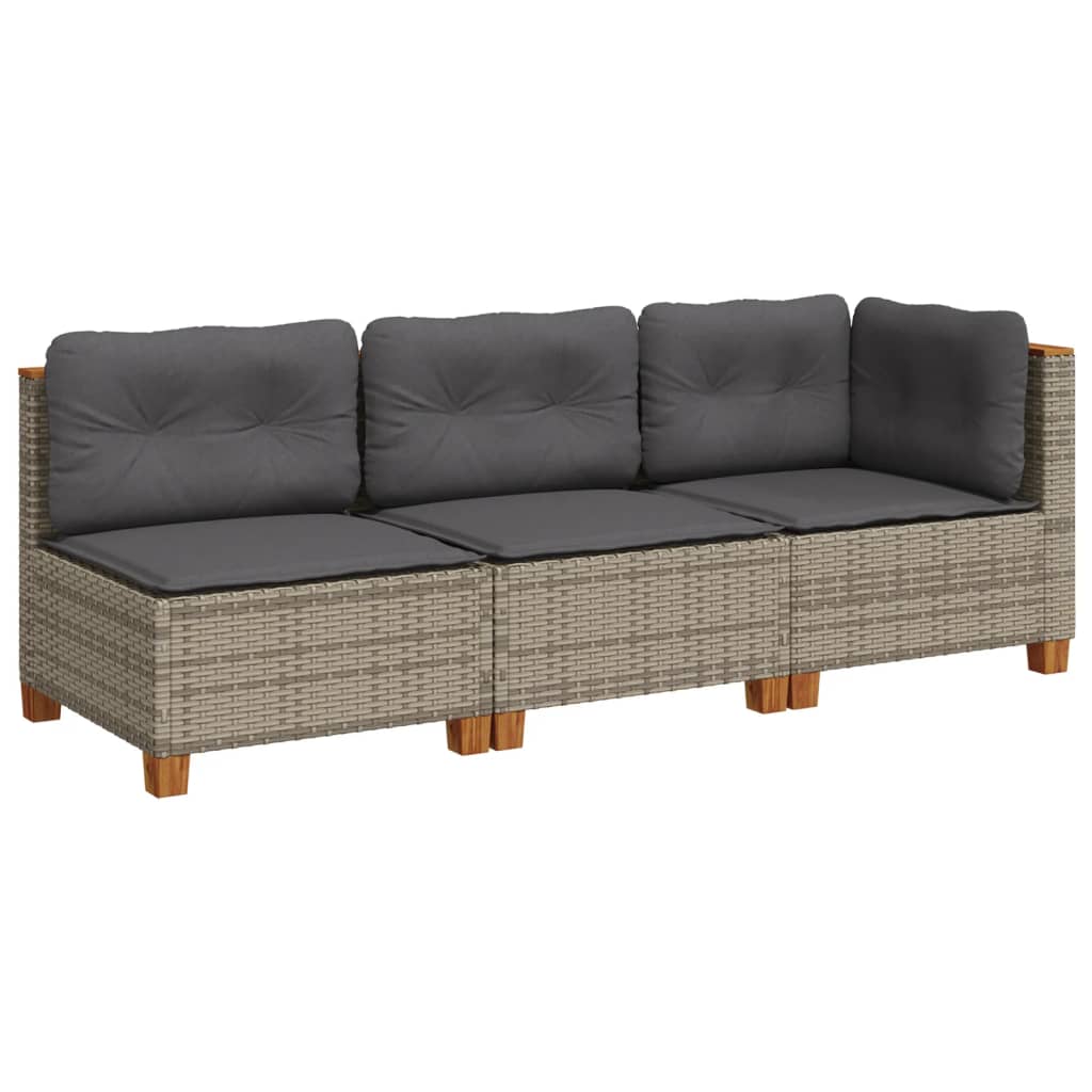 Tuinbank 3-Zits Met Kussens Poly Rattan