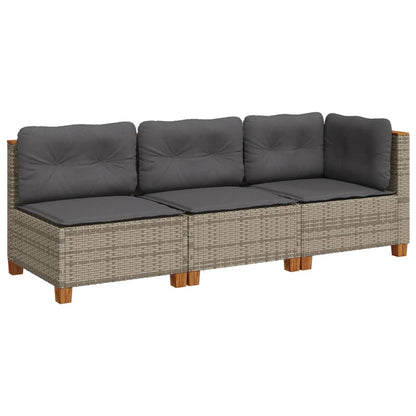 Tuinbank 3-Zits Met Kussens Poly Rattan