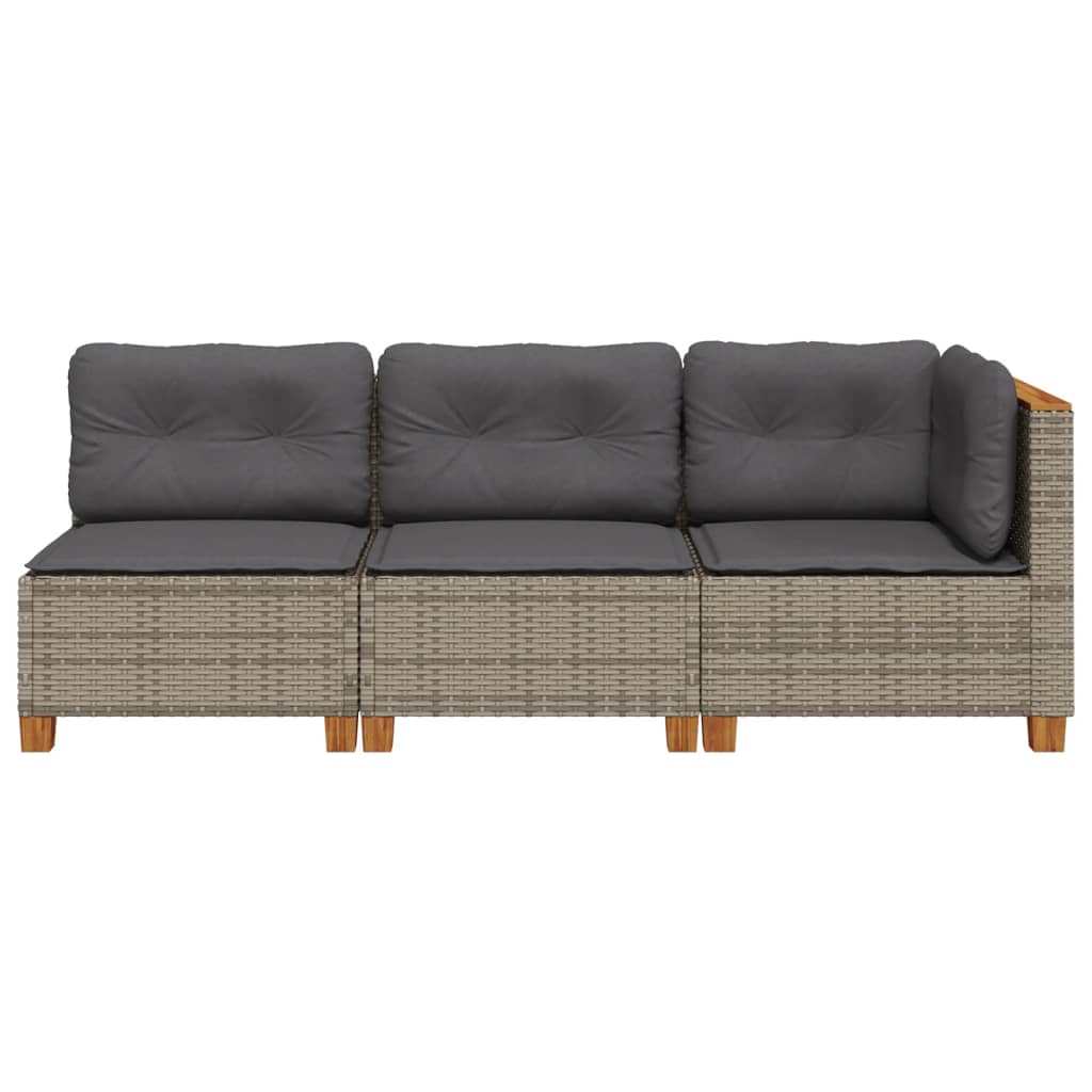 Tuinbank 3-Zits Met Kussens Poly Rattan