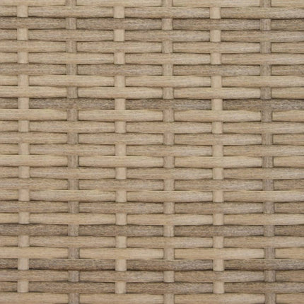 Tuinbank 2-Zits En Voetenbanken Poly Rattan