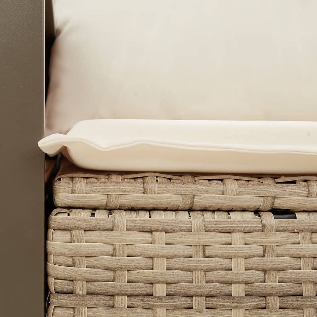 Tuinbank 2-Zits Met Kussens Poly Rattan