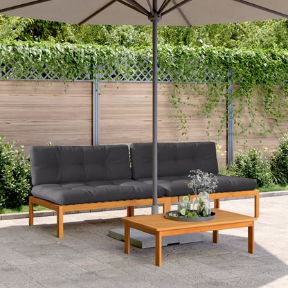 Tuinmiddenbanken 2 St Pallet Met Kussens Massief Acaciahout Antraciet