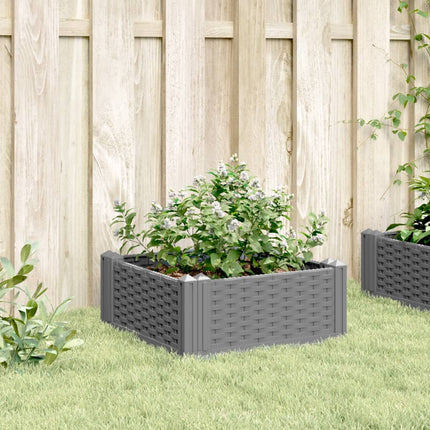 Plantenbak Met Pinnen Polypropeen