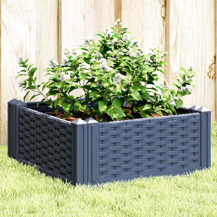 Plantenbak Met Pinnen Polypropeen