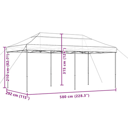 Partytent Inklapbaar Pop-Up 580X292X315 Cm Zwart