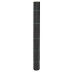 1 x 10 m (100 g/m²)