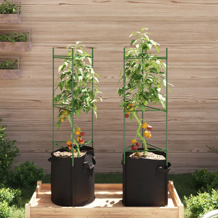 Tomatenkooi Met Plantenzak Staal En Polypropeen