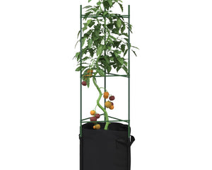 Tomatenkooi Met Plantenzak Staal En Polypropeen
