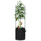 Tomatenkooi Met Plantenzak Staal En Polypropeen