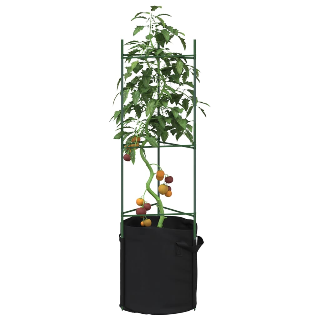 Tomatenkooien Met Plantenzak Staal En Polypropeen