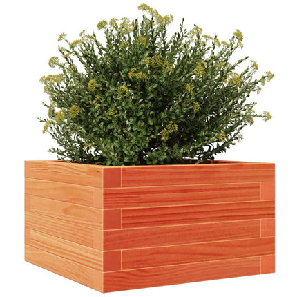 Plantenbak Massief Grenenhout Wasbruin