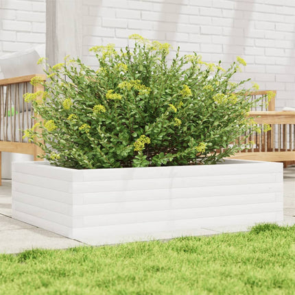 Plantenbak 70X40X72,5 Cm Massief Grenenhout Wit