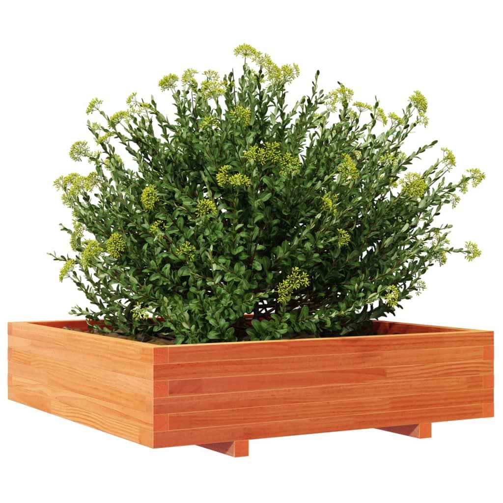 Plantenbak 100X100X26,5 Cm Massief Grenenhout Wasbruin Naturel Geïmpregneerd