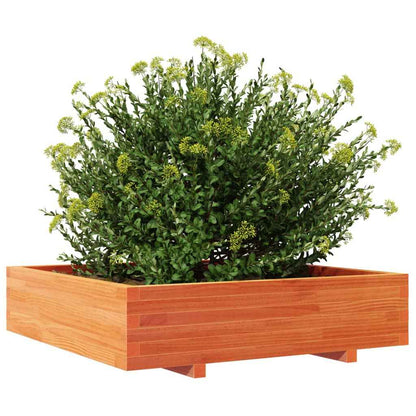 Plantenbak 100X100X26,5 Cm Massief Grenenhout Wasbruin Naturel Geïmpregneerd