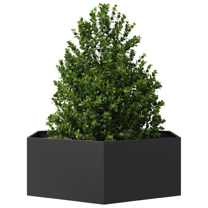 Plantenbak Zeshoek Staal Zwart