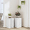 Plantenstandaards Bewerkt Hout