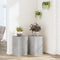 Plantenstandaards Bewerkt Hout