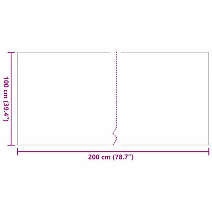 Kunstgras Zwart 200 x 100 x 3 cm Polypropyleen