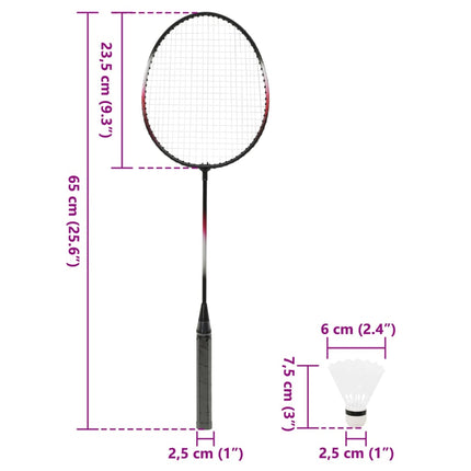 Badmintonset Met 2 Rackets, Net En Opbergkoffer 292X30X152 Cm Wit