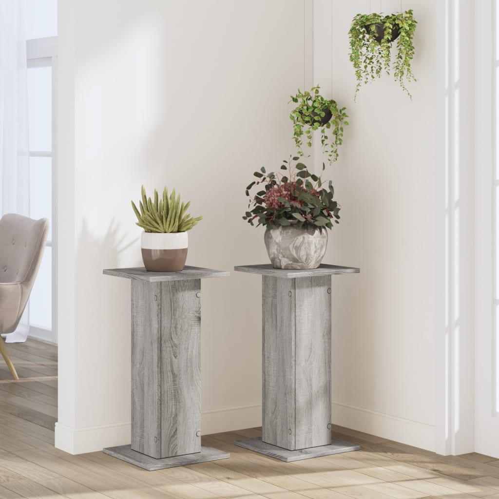 Plantenstandaards 2 St Bewerkt Hout