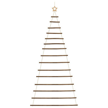 Hangende Kerstboom Met Topster Natuurlijke Tak