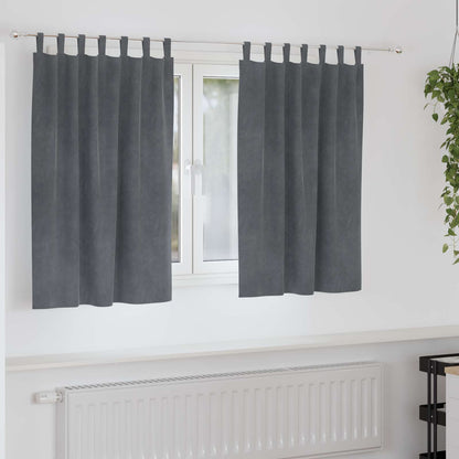 Verduisterende Gordijnen 2 Pcs Fluweel Lichtgrijs