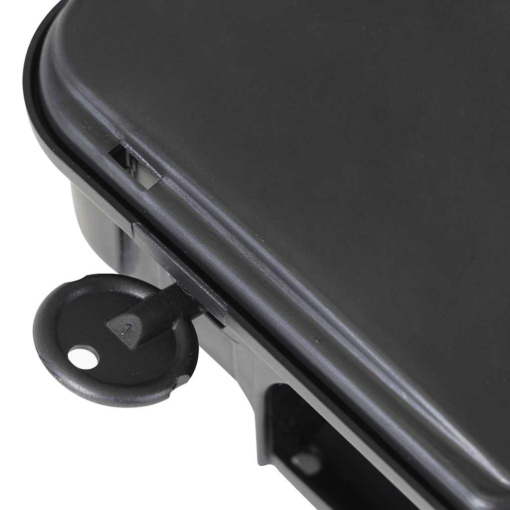 Muizenvallen 6 st 22x12,5x7,5 cm zwart