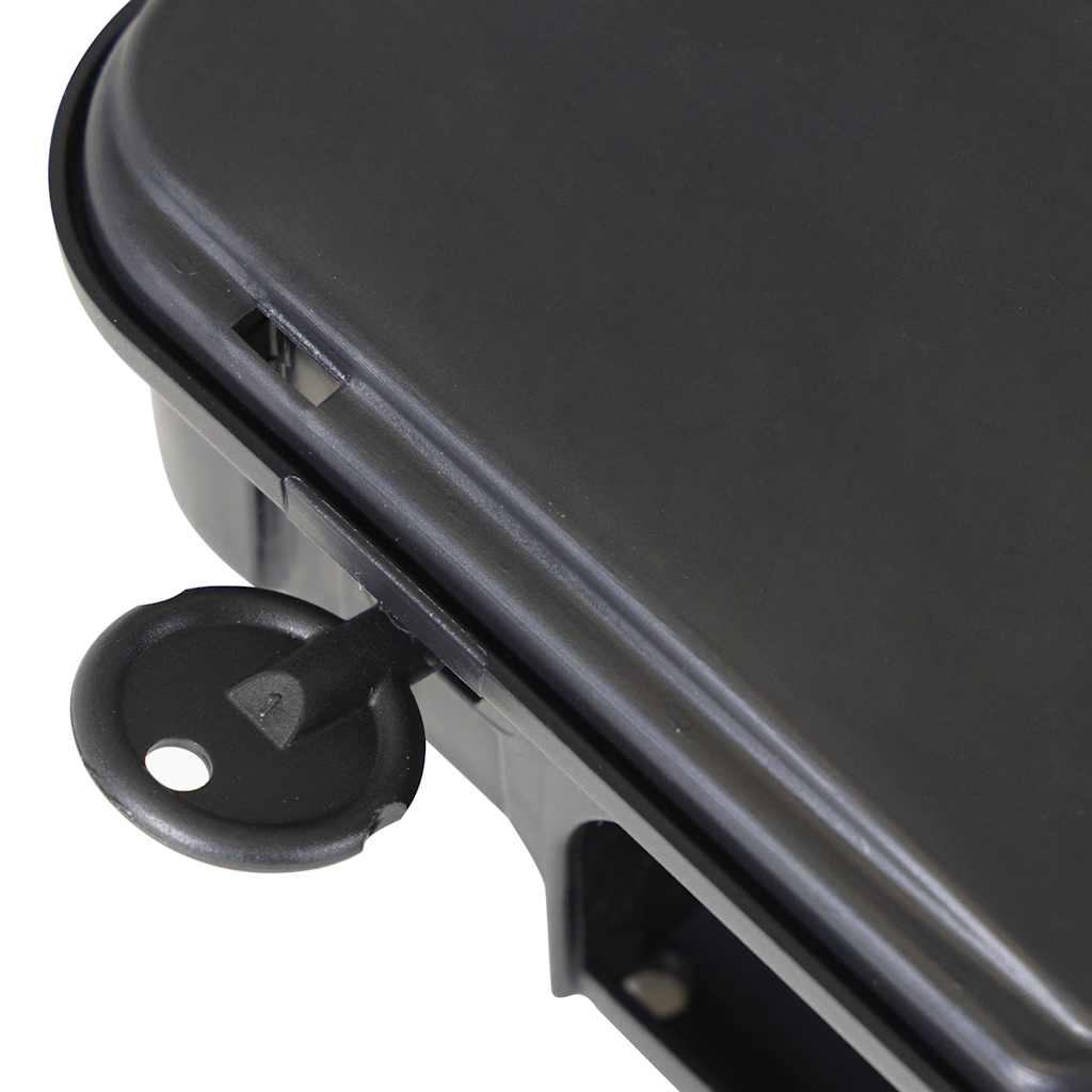 Muizenvallen 6 st 22x12,5x7,5 cm zwart