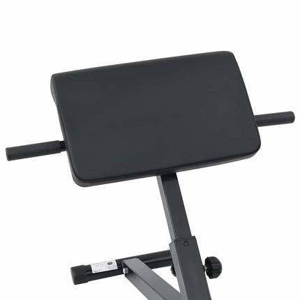 Hyperextension Bank Zwart 100,5 X 70 X 78 Cm Gepoedercoat Staal