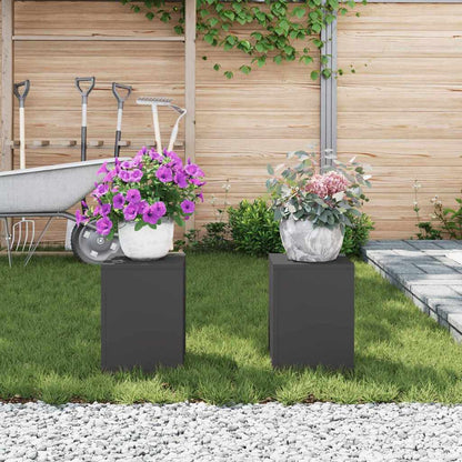 Plantenstandaard 2 Pcs 24 X 24 X 35 Cm Staal